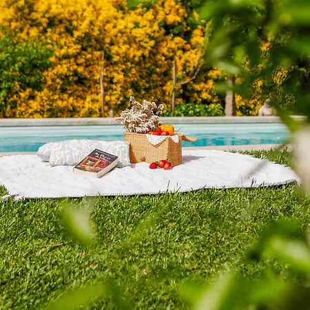Casa Da Lamela Pool & Garden Ponte de Lima