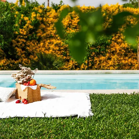 Casa Da Lamela Pool & Garden Βίλα *