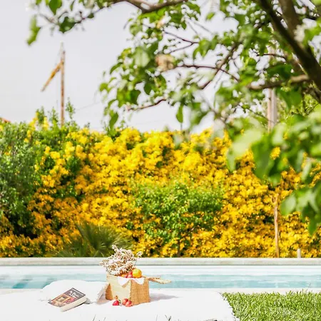 Casa Da Lamela Pool & Garden